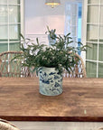 Potted plant on a wooden table with a blurred background
