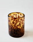 Tortoise Rocks Glasses