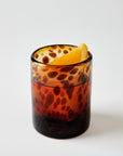 Tortoise Rocks Glasses