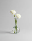 Petite Vase Collection (Clear)