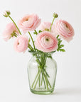 Petite Vase Collection (Clear)