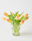 Clear glass vase with peach-colored tulips on a white background