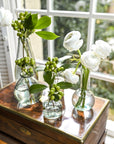 Halo Vase (Clear)
