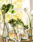 Halo Vase (Clear)