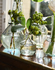 Halo Vase (Clear)