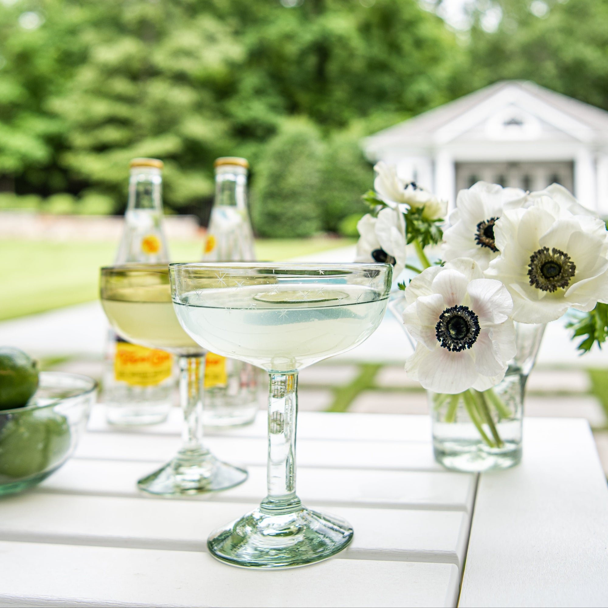 Starry Night Margarita Glass (Clear)