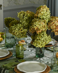 Dining table set with floral centerpiece, plates, and glasses in a room with curtains and a window.
