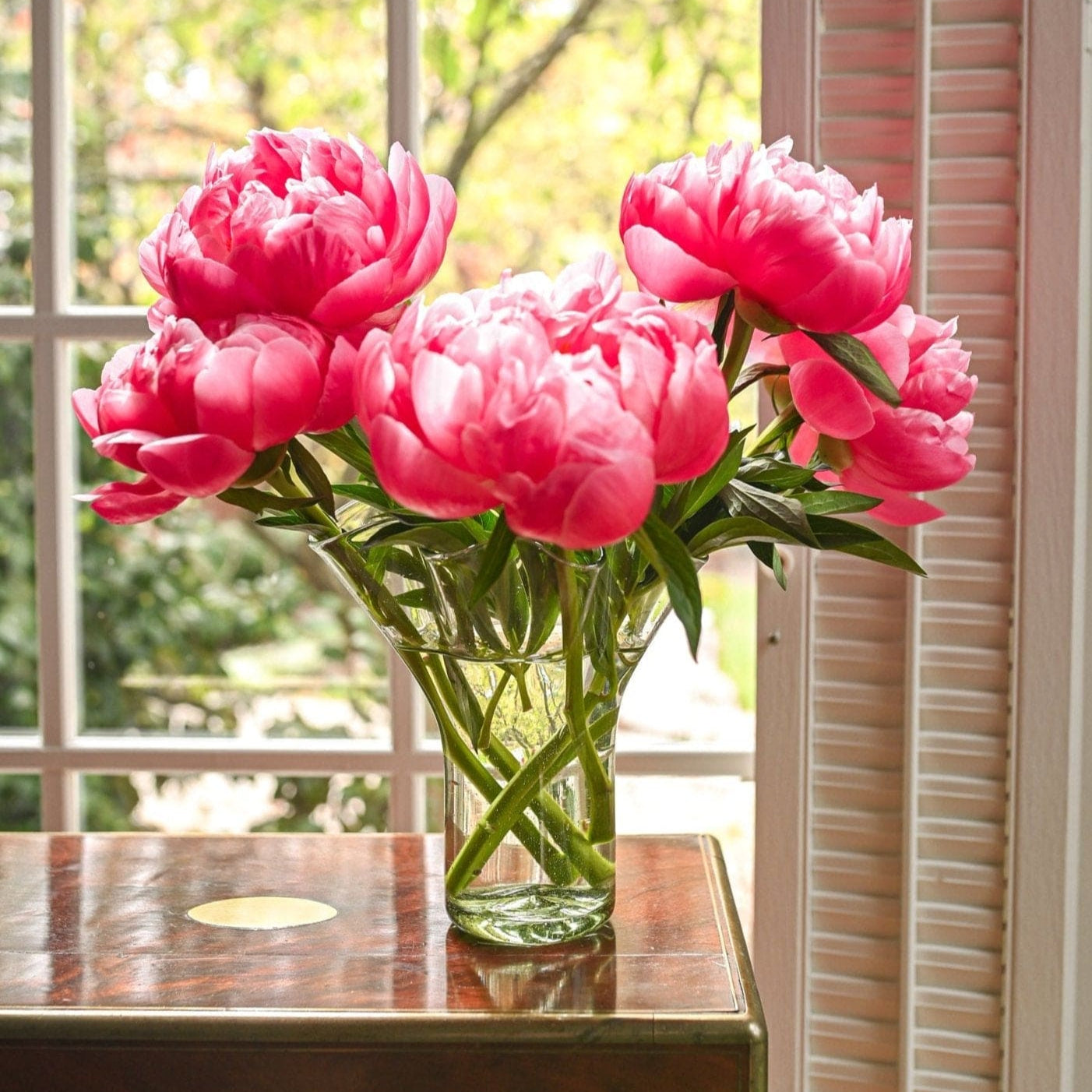 Lettuce Leaf Vase (Multiple Colors) Test