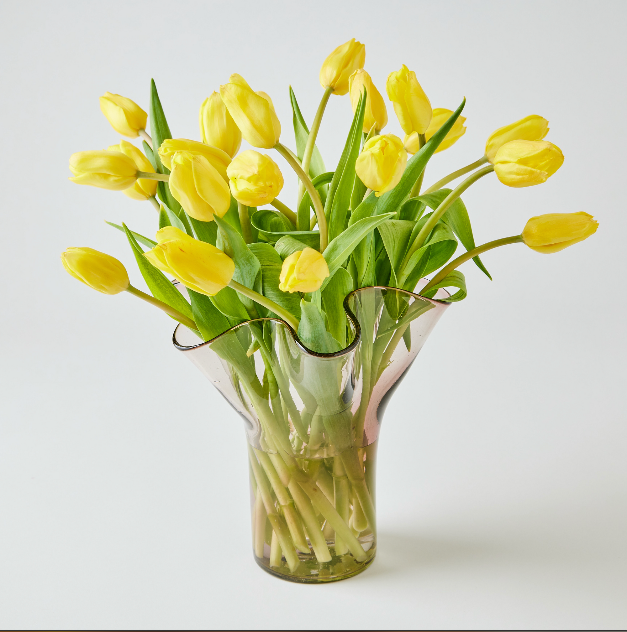 Lettuce Leaf Vase (Multiple Colors) Test