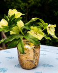 Gold vase with greenery and yellow flowers on a tablecloth outdoors