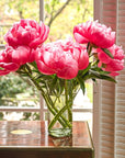 Bouquet of pink peonies in a clear vase on a wooden table with a window in the background.