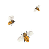 Bees Hand Towel