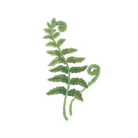 Fern Fronds Hand Towel