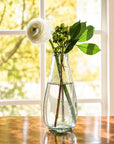 Petite Vase Collection (Clear)