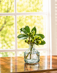 Bud Vase (Clear)