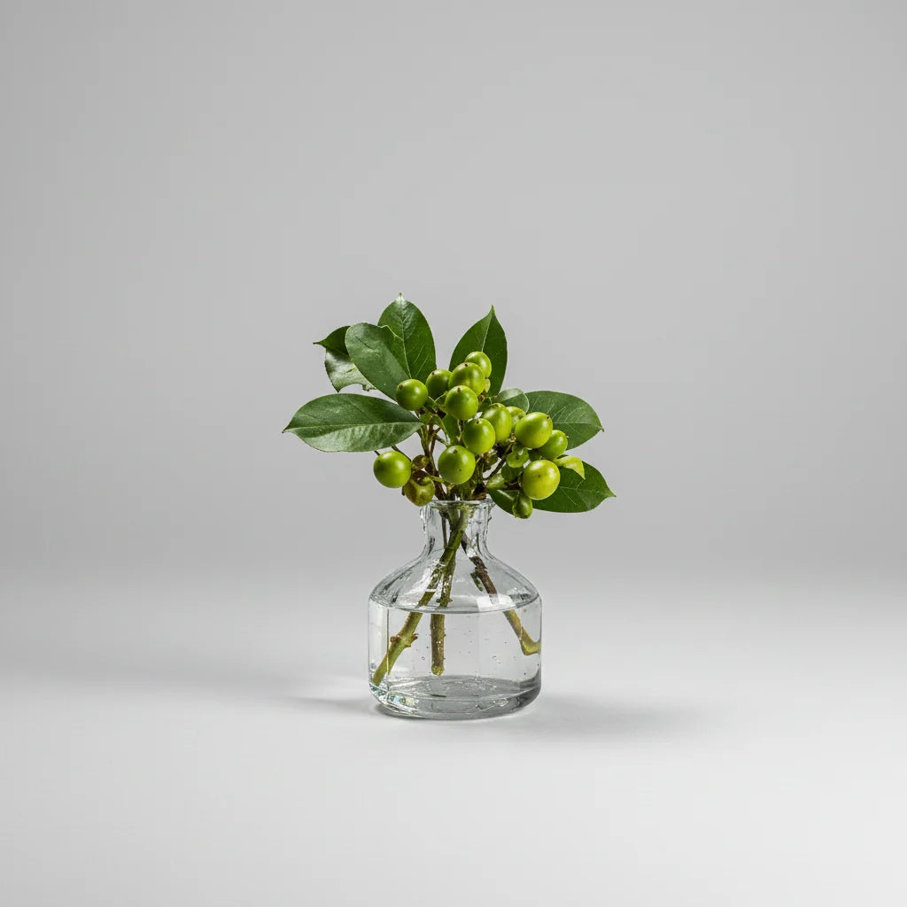 Petite Vase Collection (Clear)