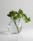 Dewdrop Vase (Clear)