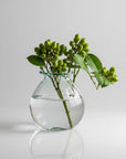 Petite Vase Collection (Clear)