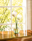 Crane Vase (Clear)