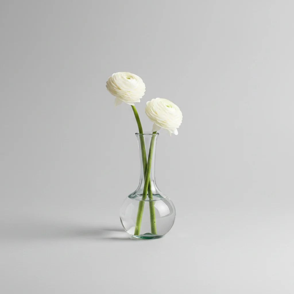 Petite Vase Collection (Clear)