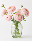 Halo Vase (Clear)