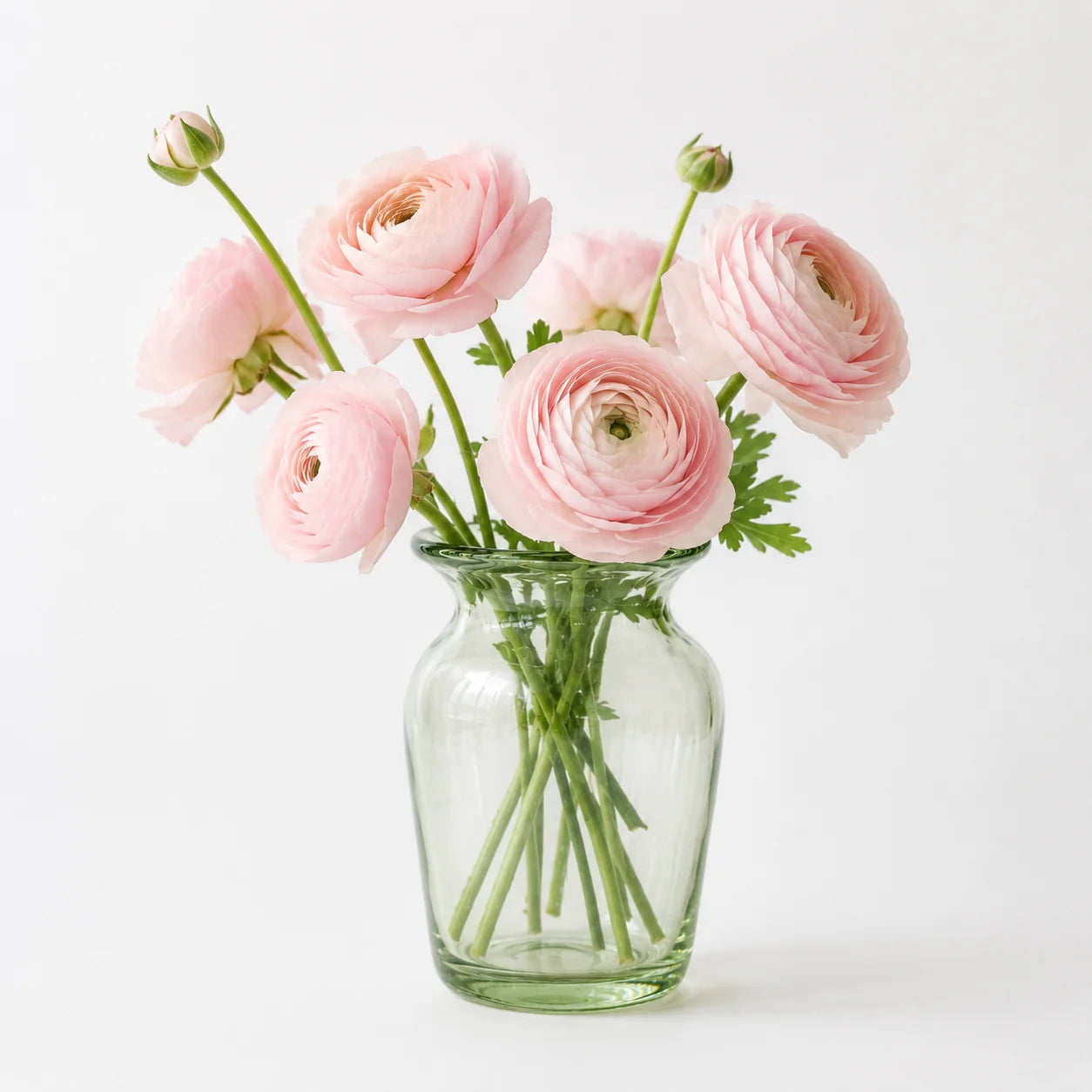 Petite Vase Collection (Clear)