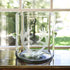 A clear glass ice bucket with a hand-etched antler motif, sitting on a wooden surface with a bright window in the background.