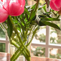 The Mother's Day Lettuce Leaf Vase