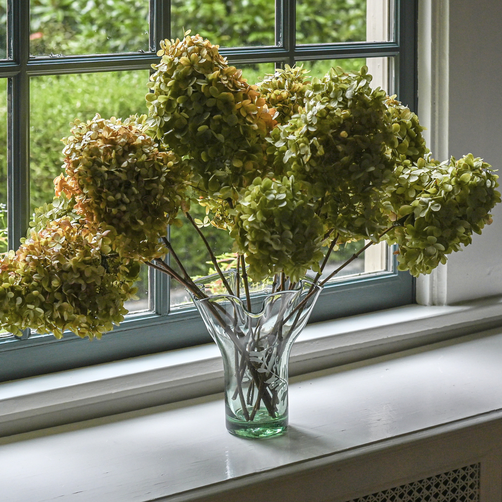 A clear glass vase with a fern leaf motif, containing stems and placed on a windowsill with hydrangea flowers in the background.
