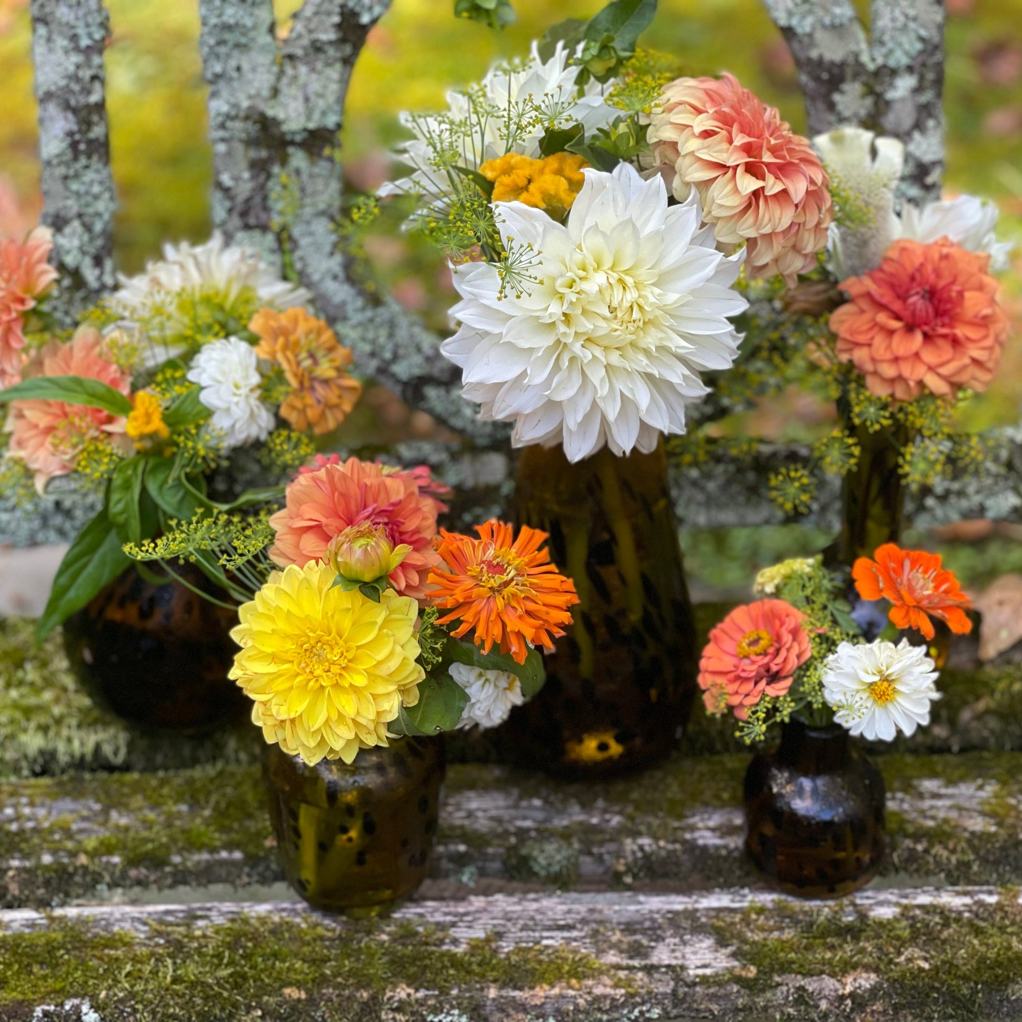 Colorful flower arrangement in small vases on a rustic wooden surface with a natural background.