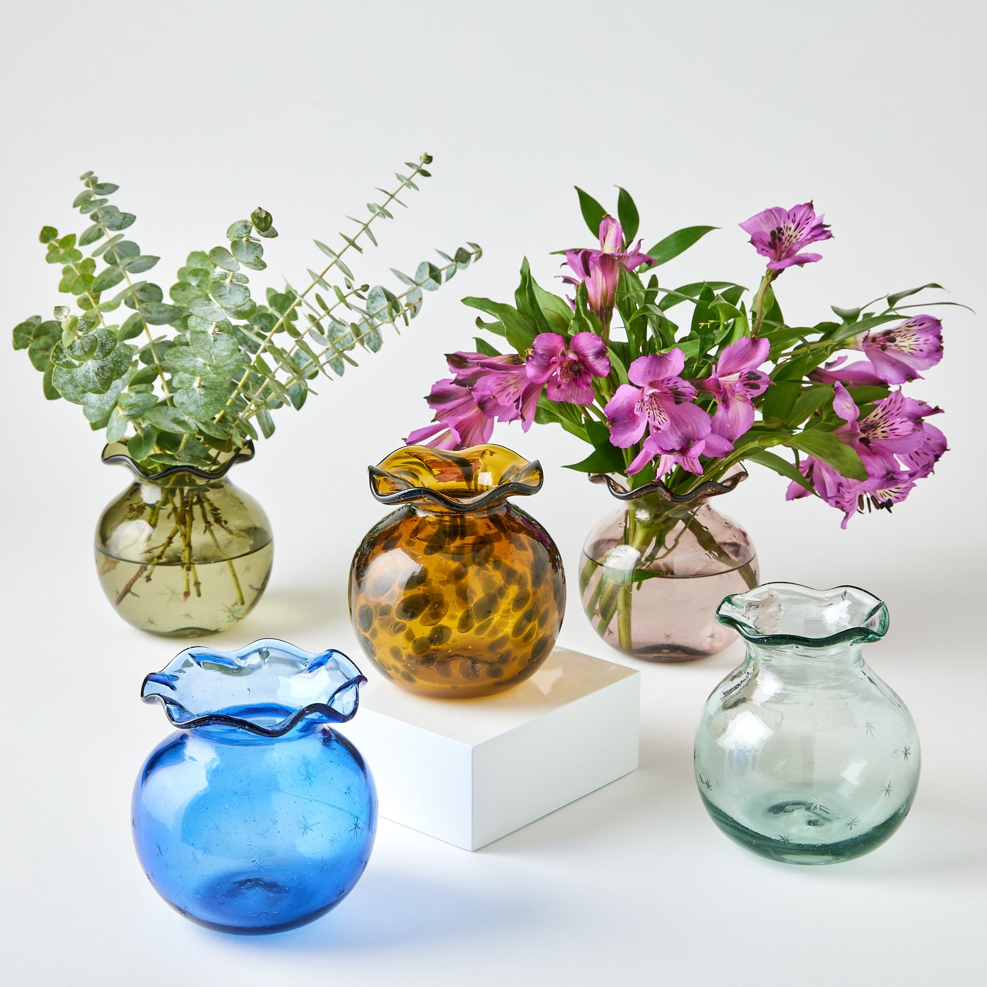 Collection of colorful glass vases with plants on a white background