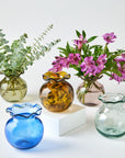 Collection of colorful glass vases with plants on a white background