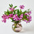Bouquet of pink flowers in a pink starry vase on a light background