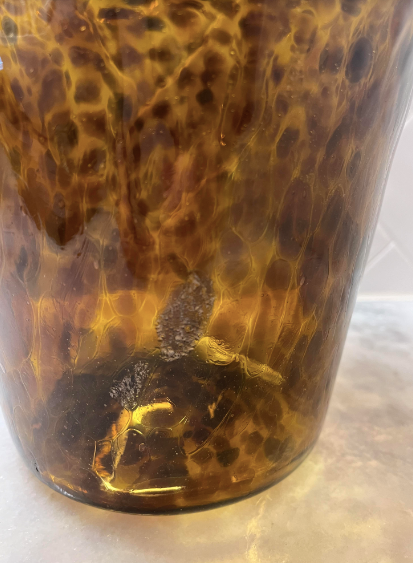 Sample Sale: Tortoise Ice Bucket without Handles