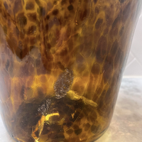Sample Sale: Tortoise Ice Bucket with Handles