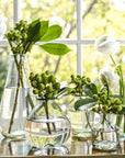 Dewdrop Vase (Clear)