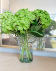 The Original Lettuce Leaf Vase