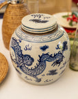 Porcelain Dragon Jar